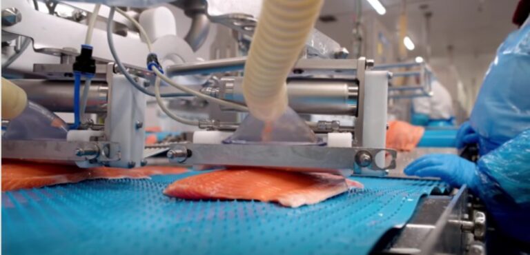 Fresh From Captain Fresh: Company Turns Profitable Ahead of IPO